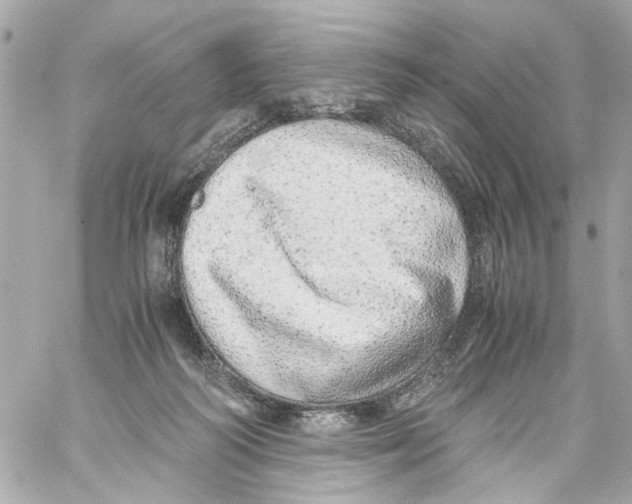 X0000059090218200511041856