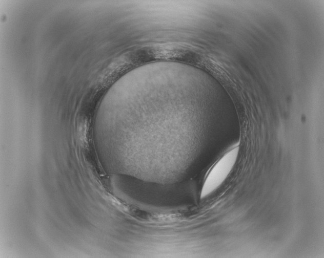 X0000059090219200511041856