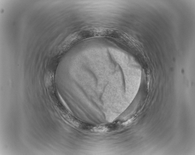 X0000059090225200511041856