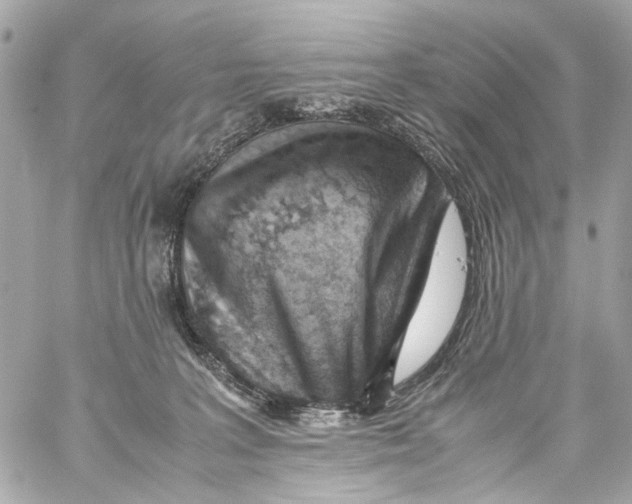 X0000059090227200511041855