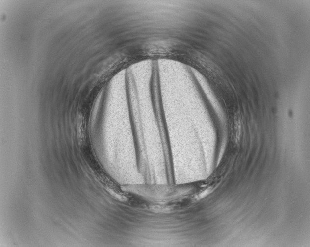 X0000059090228200511041855