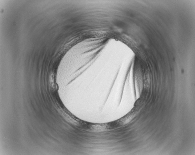 X0000059090238200511041855