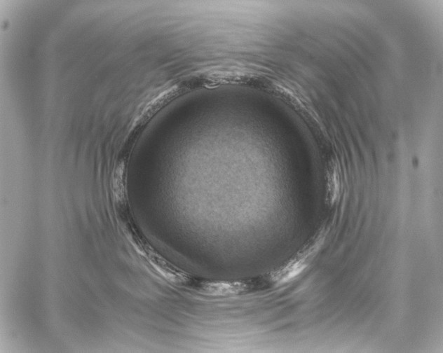 X0000059090239200511041855