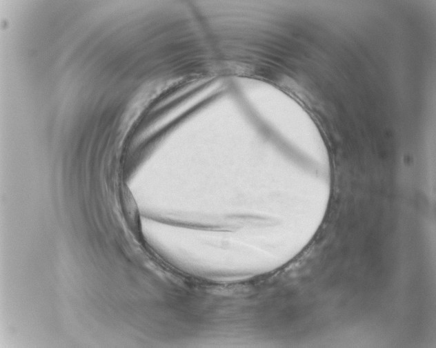 X0000059090241200511041854
