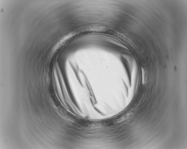 X0000059090252200511041855