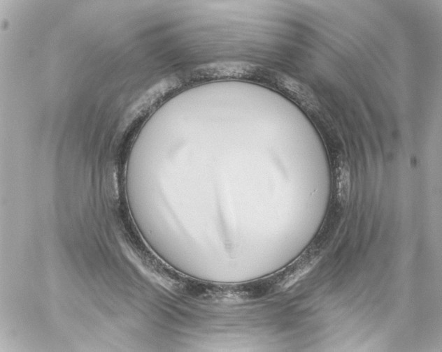 X0000059090254200511041855