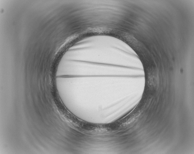 X0000059090256200511041855