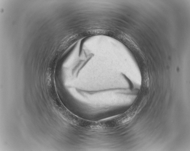 X0000059090259200511041855