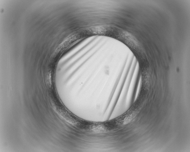 X0000059090262200511041855