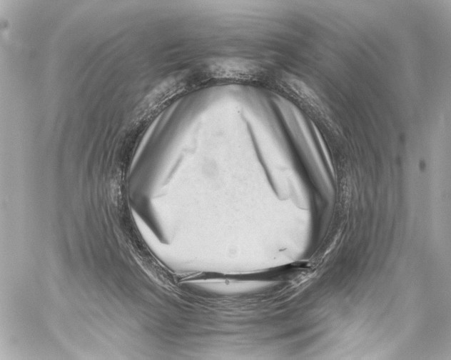 X0000059090265200511041855