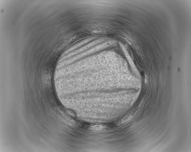 X0000059090269200511041855