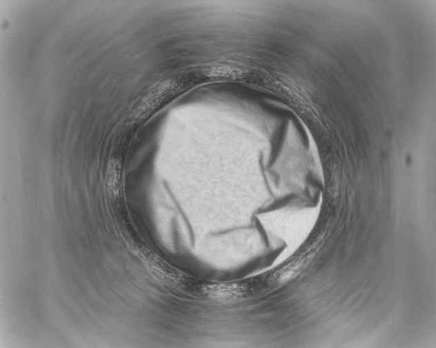 X0000059090273200511041855