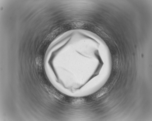 X0000059090274200511041855