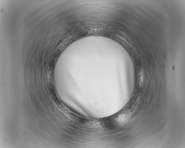 X0000059090276200511041855
