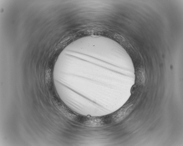 X0000059090278200511041855