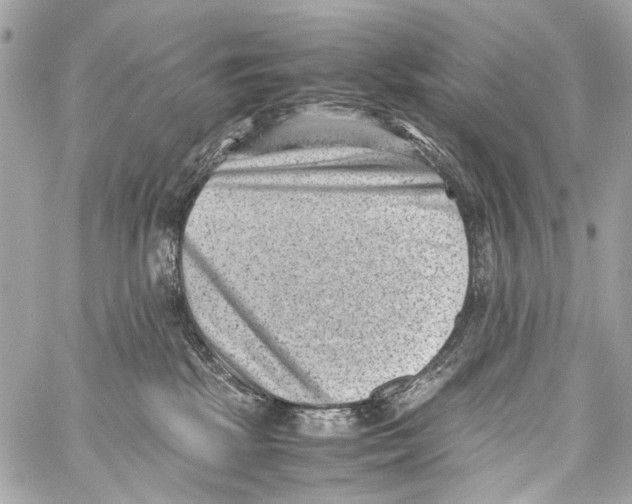 X0000059090281200511041855