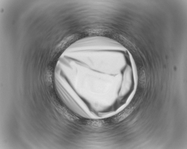 X0000059090282200511041855