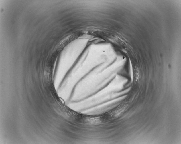 X0000059090283200511041855