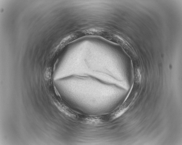 X0000059090284200511041855