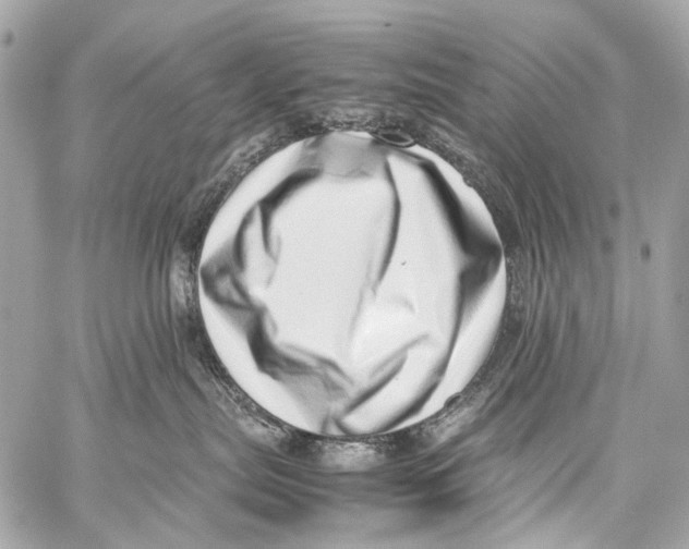 X0000059090287200511041855