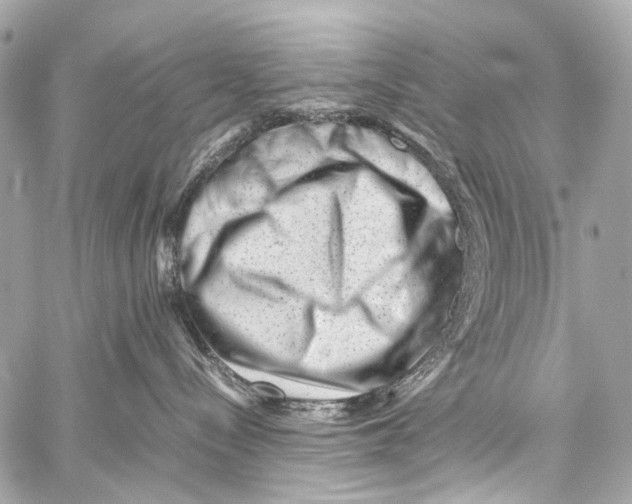 X0000059090288200511041855