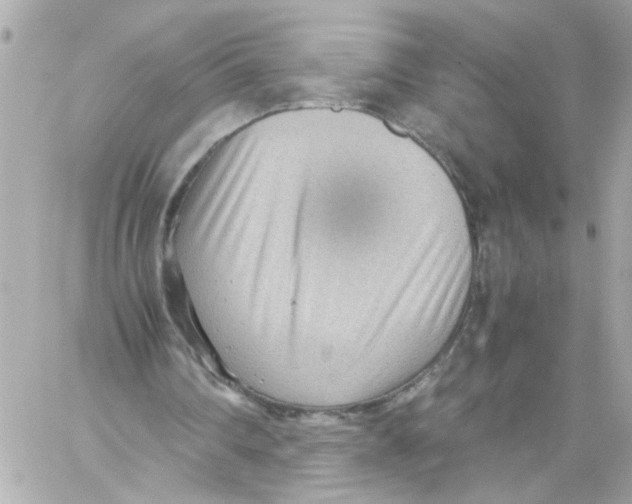 X0000059090290200511041854