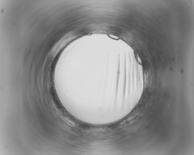 X0000059090291200511041854
