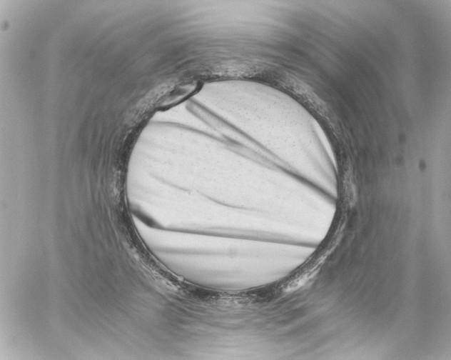 X0000059090305200511041854