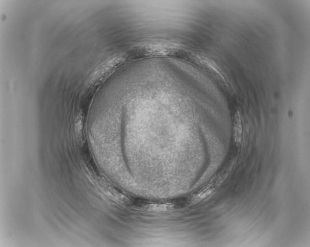 X0000059090314200511041854