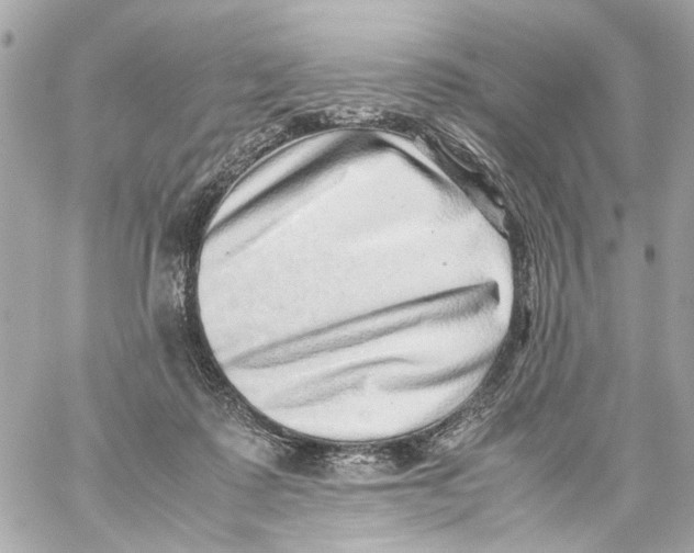 X0000059090315200511041854