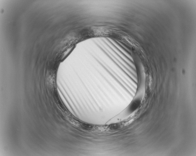 X0000059090329200511041854
