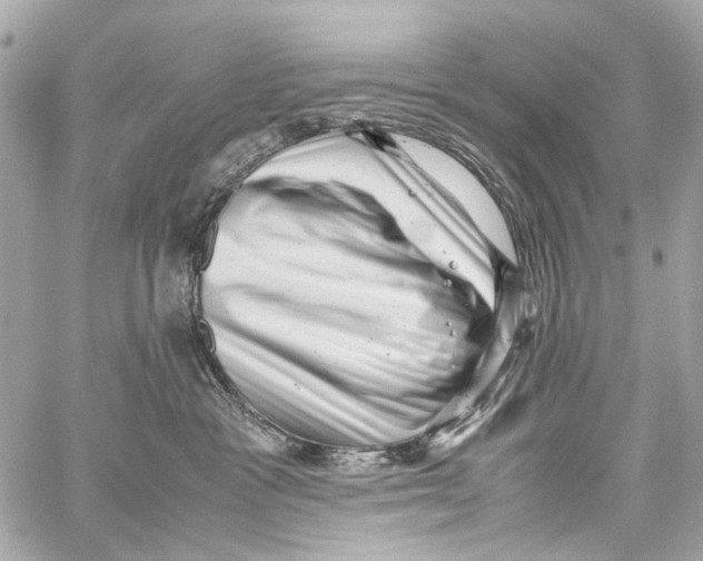 X0000059090333200511041854