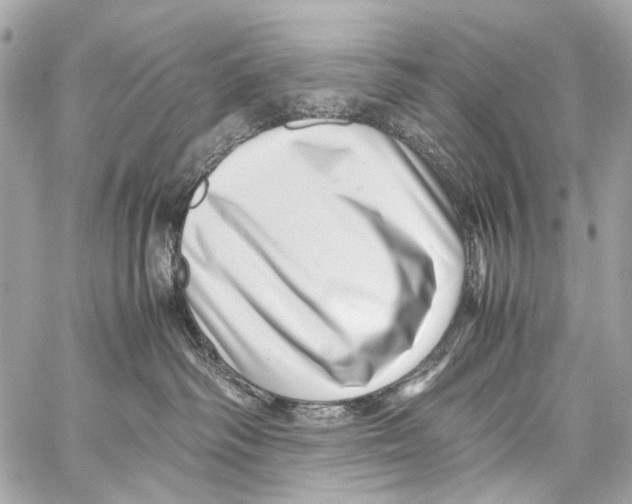 X0000059090334200511041854