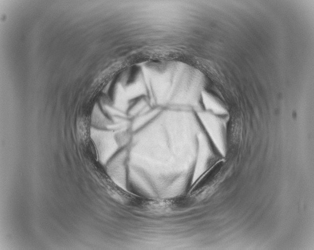 X0000059090335200511041854