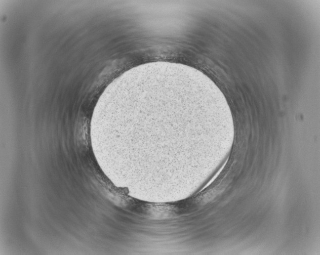 X0000059090336200511041854