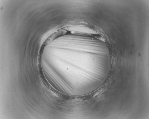 X0000059090340200511041853