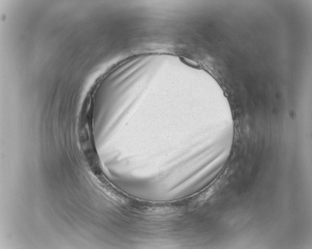X0000059090342200511041853