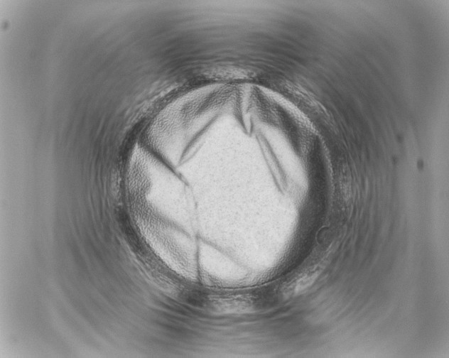 X0000059090359200511041853
