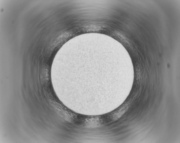 X0000059090362200511041853
