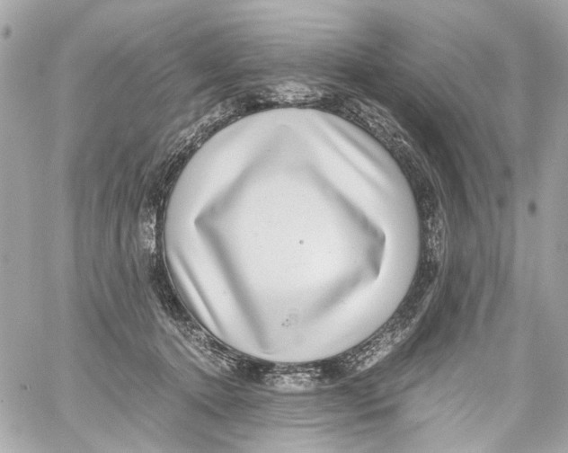 X0000059090368200511041853