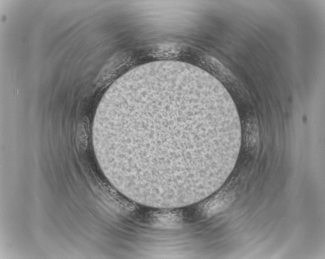 X0000059090370200511041853