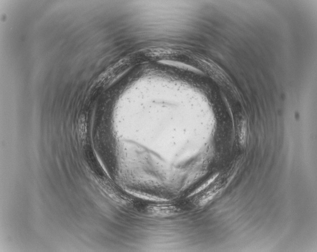 X0000059090372200511041853