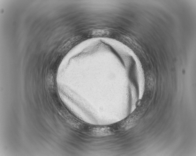 X0000059090375200511041853