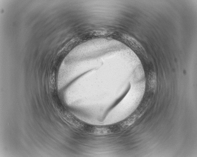 X0000059090376200511041853