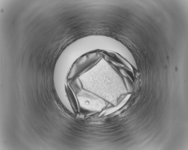 X0000059090383200511041854
