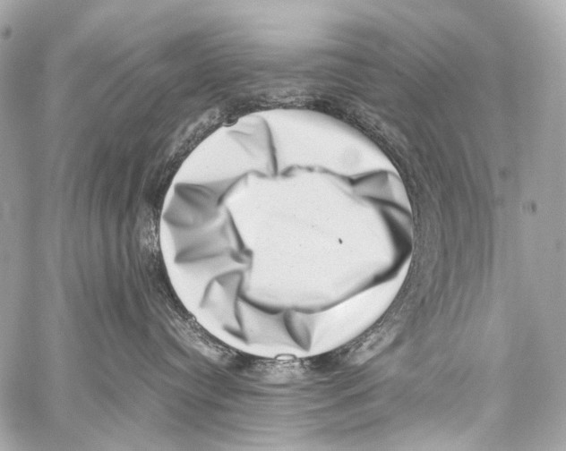 X0000059090384200511041854