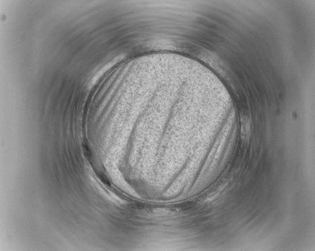 X0000059090390200511041853
