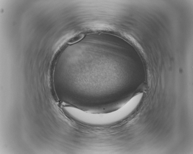X0000059090391200511041853