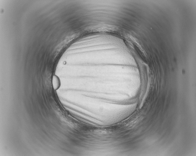 X0000059090394200511041853