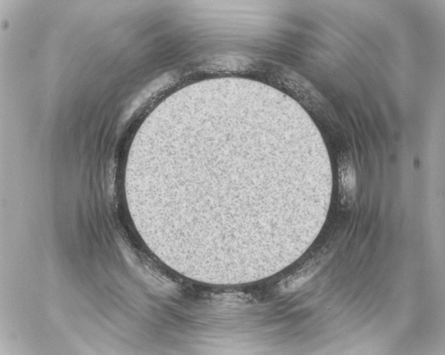 X0000059090396200511041853